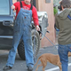 Image for article titled Jesse James Arrested... By Paparazzo; Paula Abdul Headed To Broadway